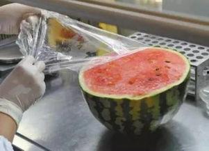 吃瓜少女医院,揭秘医疗界的甜蜜与苦涩