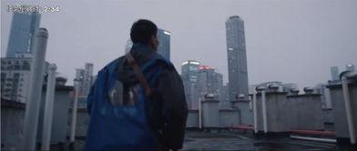 吃瓜全家围观视频,吃瓜视频背后的社会现象解析