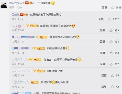 评论吃瓜怎么回复,评论中的瓜田效应解析