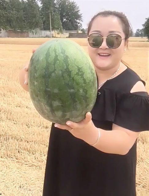 妖怪瓜地里吃西瓜