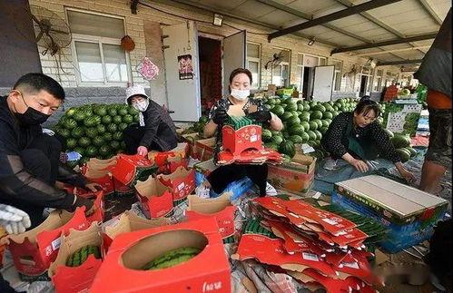 吃瓜群众蒲城店,揭秘当地美食文化新地标