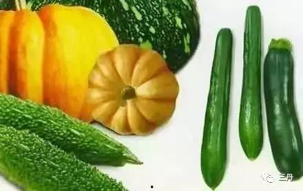 今日吃瓜必吃瓜图片