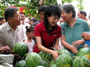 今日吃瓜 瓜农,今日吃瓜，瓜香四溢