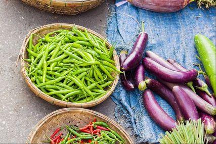 江西人吃马兰瓜