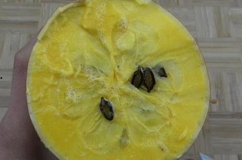 带你吃瓜奇怪的东西