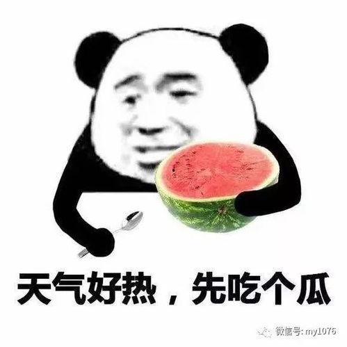 你的肥肥吃瓜,揭秘娱乐圈的甜蜜诱惑与麻辣冲突
