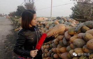 瓜姐吃襄阳,探寻千年古城的独特风味