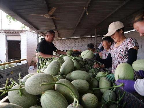 吃瓜吃到脸上了,脸皮厚度堪比城墙！