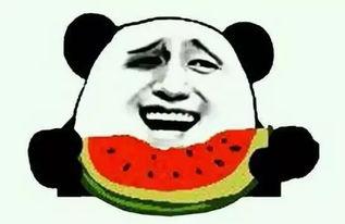 吃瓜精神状态良好