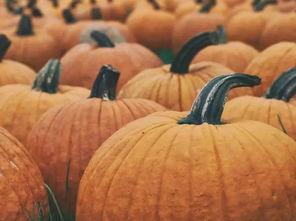 午夜黑科技吃瓜,揭秘吃瓜背后的科技奥秘