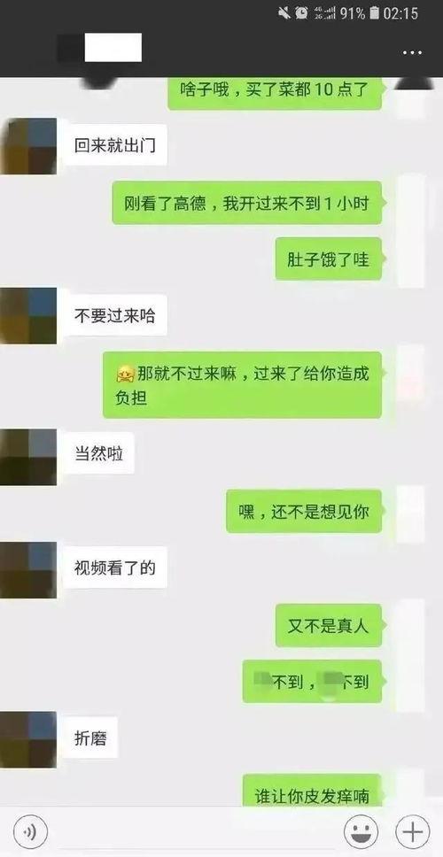 吃瓜聊天记录证据
