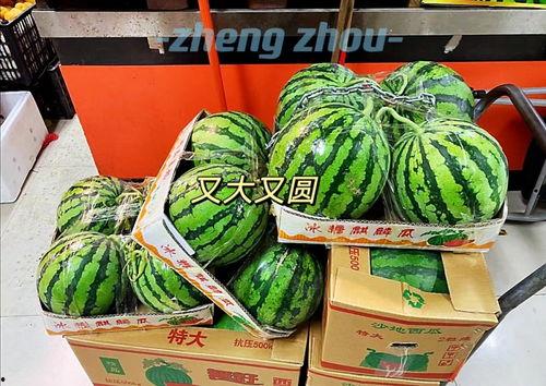 来郑州吃瓜