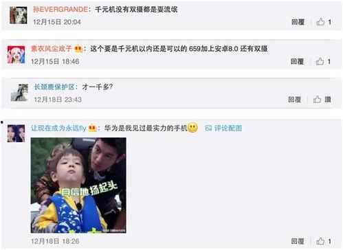 华为的吃瓜群众