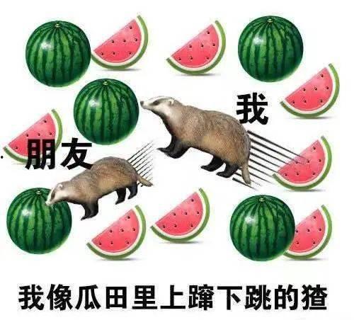 吃瓜先生,揭秘娱乐圈幕后真相，带你领略明星们的真实生活