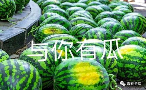 武汉高校吃瓜群