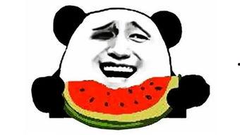 吃瓜漏雨搞笑视频,笑料横生的搞笑视频集锦