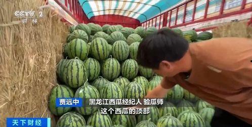 王嘉豪吃瓜,揭秘娱乐圈幕后故事