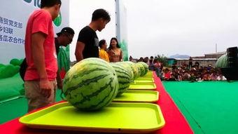 呱岛吃瓜,揭秘网络热点的背后故事