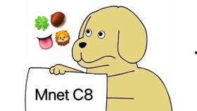 仓鼠吃瓜群众图片,萌宠趣味瞬间捕捉