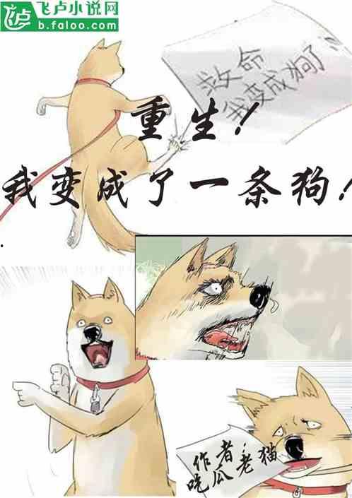 吃瓜逆子小说免费阅读