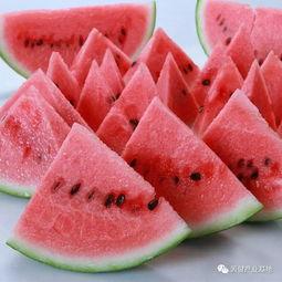 晚餐吃瓜群众好吗,吃瓜群众的快乐时光
