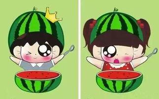 兔小贝吃瓜,兔小贝的瓜田奇遇记